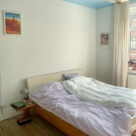 Raekkehus Med Baggard Naer Skjolds Plads * Copenhagen
